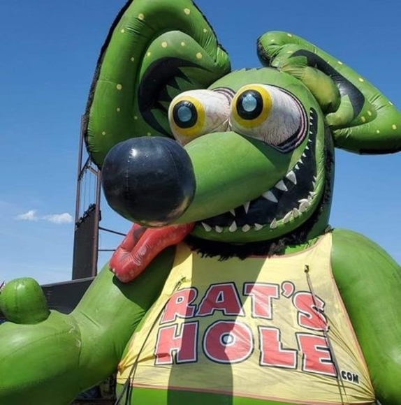 Meet your Posher, Paul - Picture 1 of 1